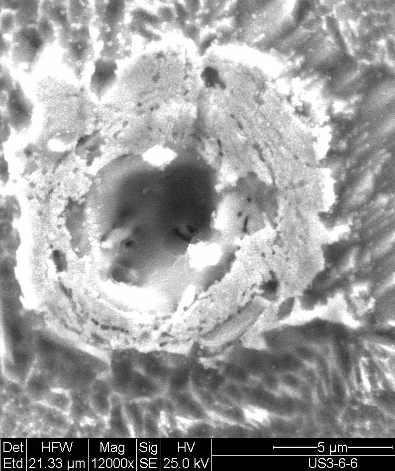Scanning electron micrograph of a palladium cathode surface. Crater with a raised rim, imaged at 12000× with a 5 µm scale bar.
