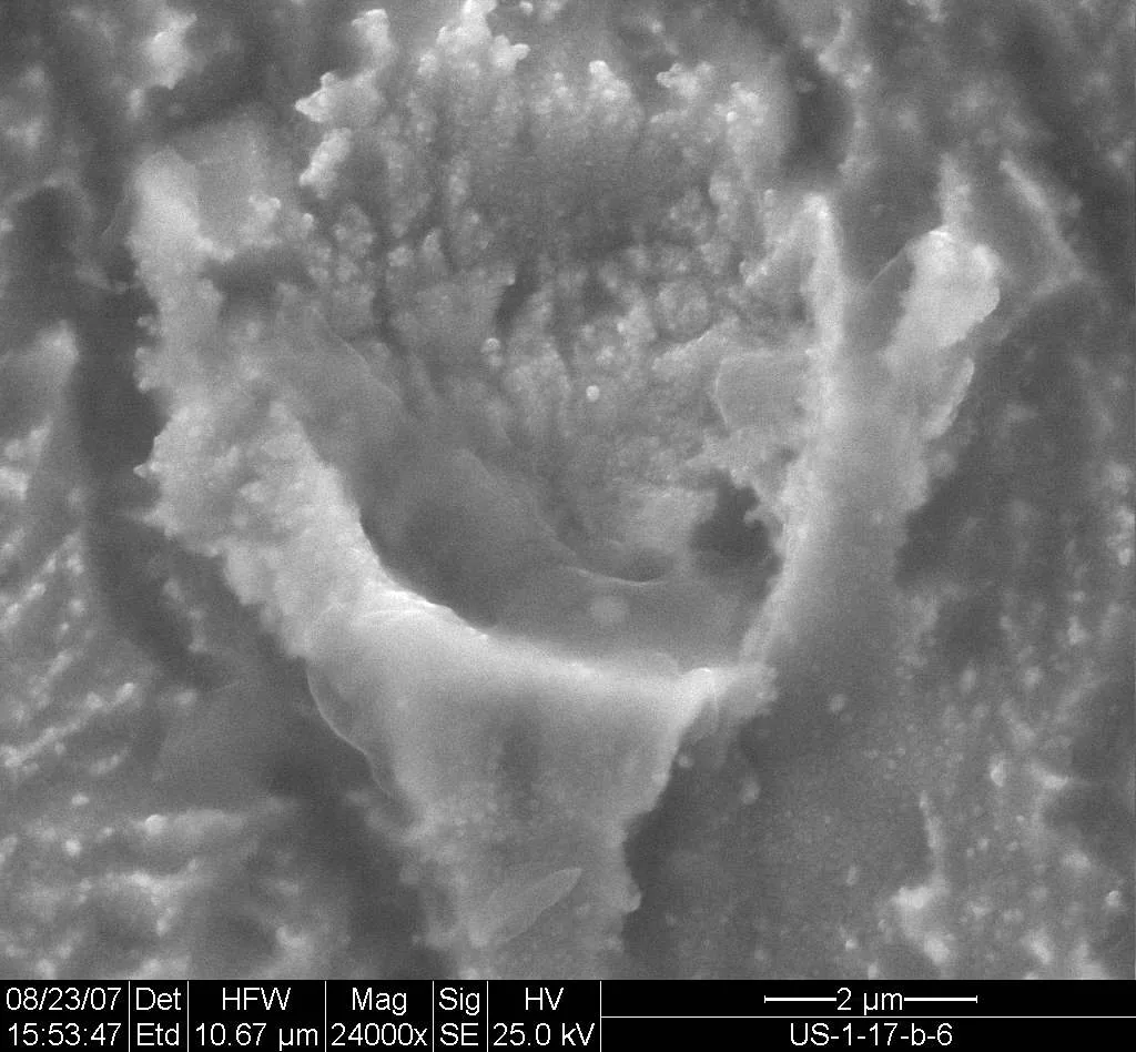 Scanning electron micrograph of a micro-crater on the palladium electrode surface after the experiment, imaged at 24,000× with a 2 µm scale bar.